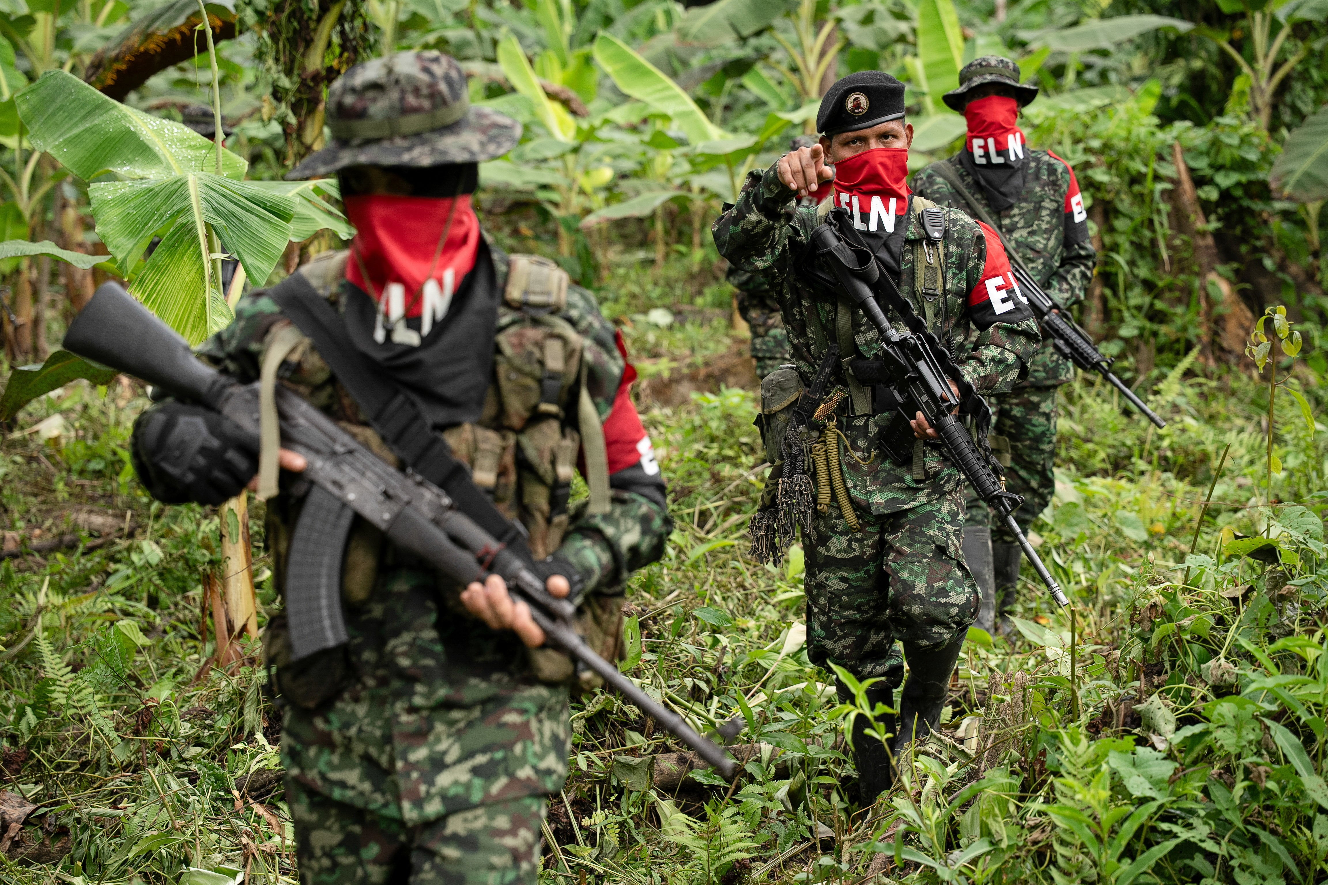 Guerrilleros del Ejército de Liberación Nacional (ELN) de Colombia camina por la selva en el departamento del Chocó, Colombia - crédito Jair Coll/Reuters