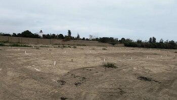 Conoce cómo participar del remate