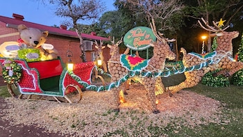 Los chicos pueden sacarse fotos