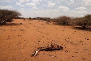 Para 2050, más de las