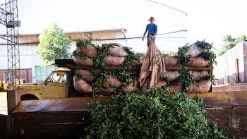 Una importante yerbatera suspendió pagos