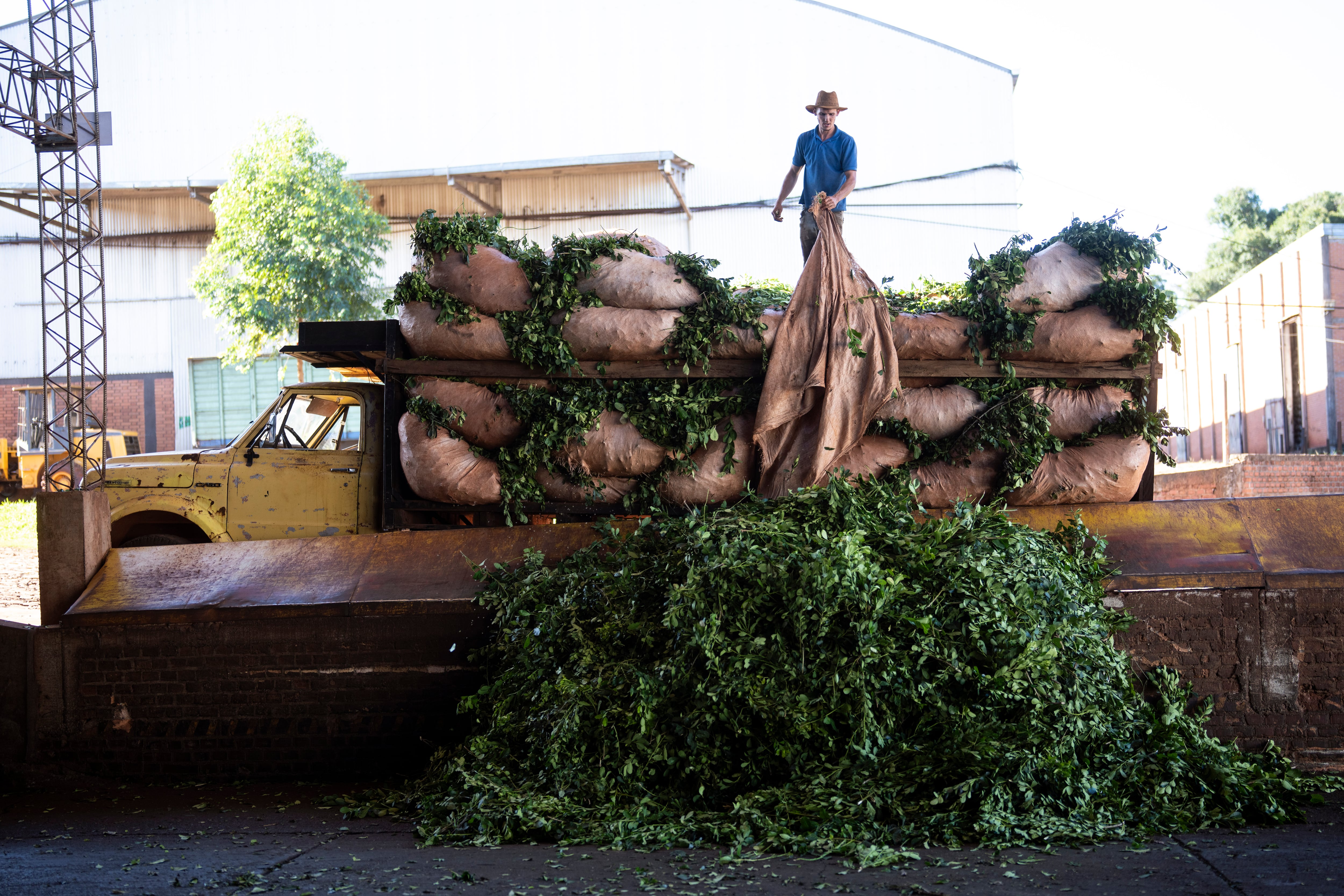 La cooperativa Andresito realiza exportaciones y participa en ferias internacionales, pero enfrenta dificultades de liquidez