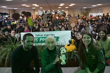 Más de 700 alumnos de