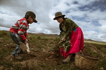Imagen referencial de archivo. Una mujer y un niño trabajan la tierra en un área rural de Bolivia.