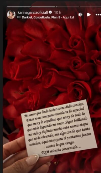 Con emotivo mensaje Karina habría confirmado su relación con Kris R - crédito @karinagarciaoficiall/ Instagram