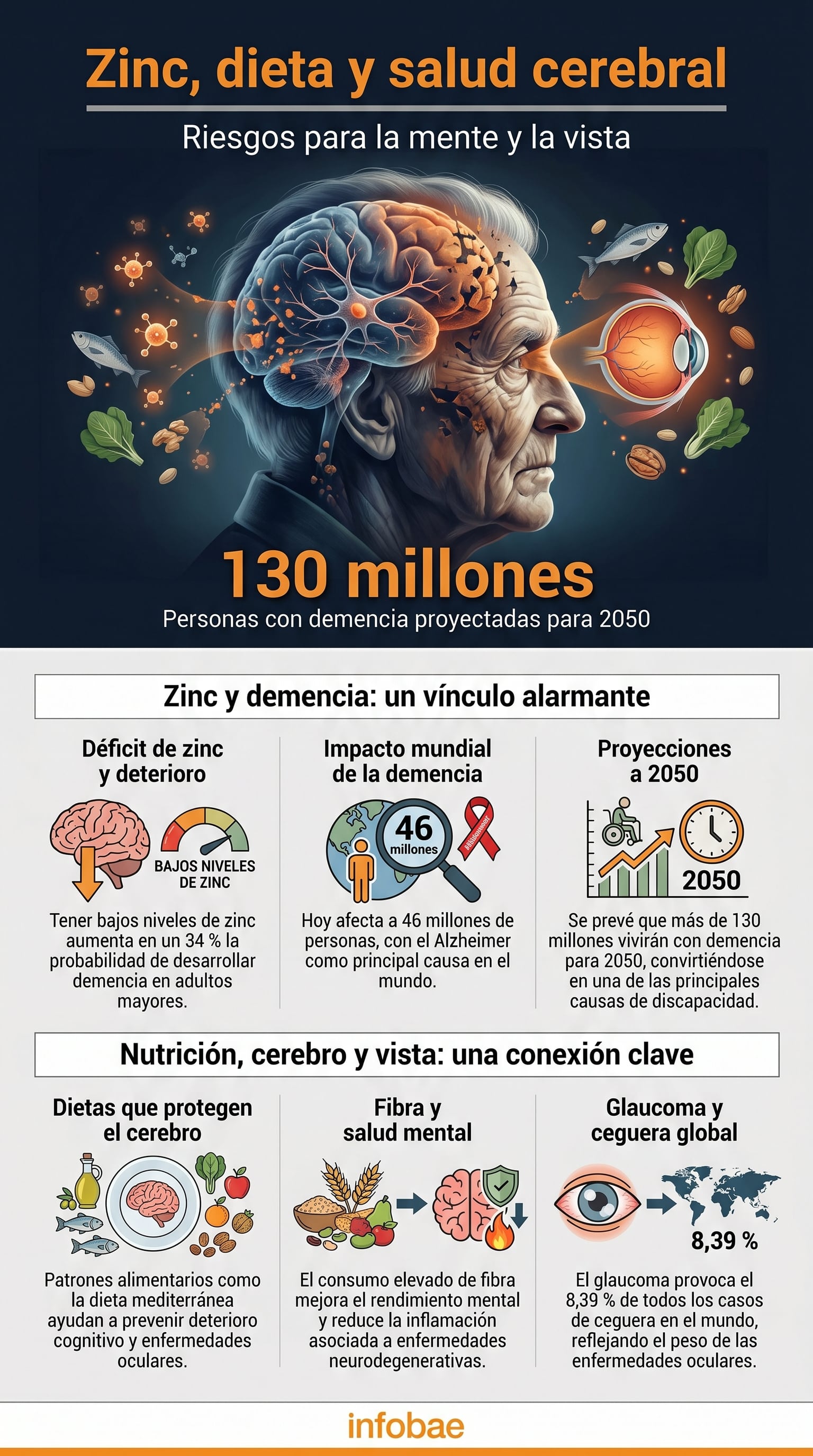 Un infográfico detalla cómo el déficit de zinc incrementa la demencia, la importancia de la dieta para la salud cerebral y ocular, y las proyecciones de demencia global para 2050. (Imagen Ilustrativa Infobae)
