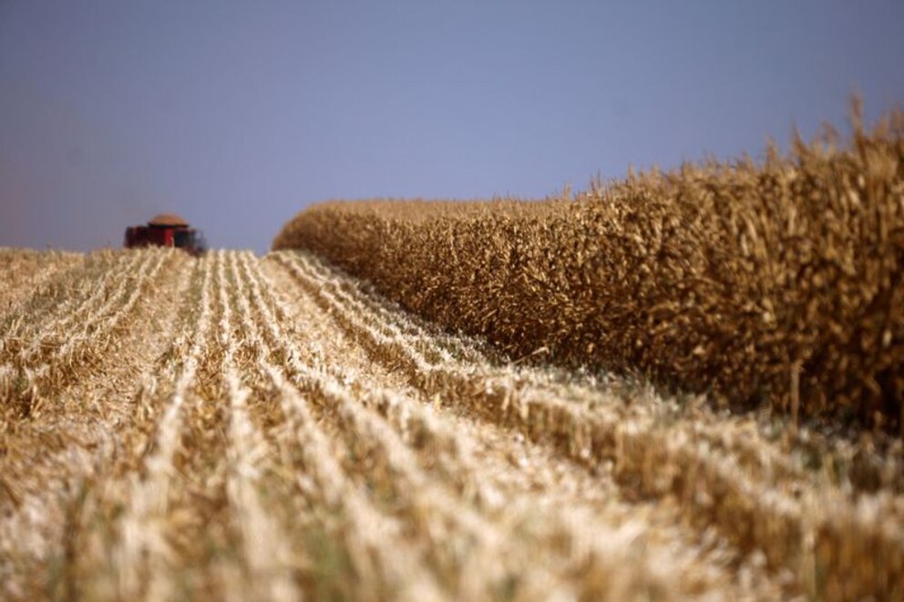 La producción de soja en Argentina alcanzaría las 50 millones de toneladas en la campaña 2024/25