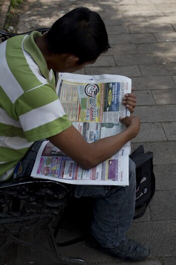 El programa de seguro para