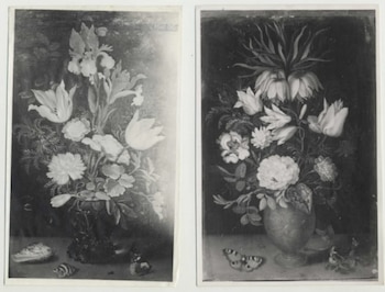 Fotografías de archivo de las