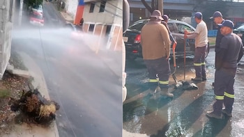 Reportan otra fuga de agua en CDMX, ahora en alcaldía Tlalpan