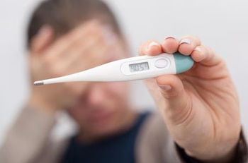 Este arbovirus, transmitido por mosquitos,