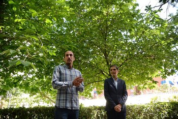 Imagen KUHZ33WER5G7ZGG7FNDQWPZZQM