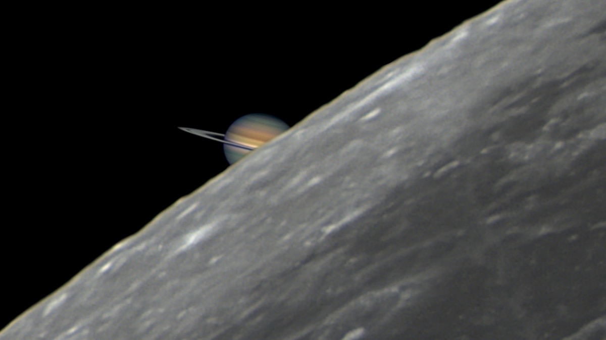 La conjunción entre la Luna y Saturno será visible desde Argentina: cómo y cuándo ver el evento astronómico