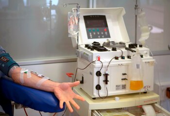 Algunos investigadores apuestan a la