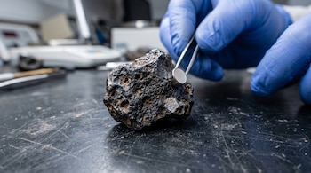 Manos con guantes azules sostienen con pinzas un pequeño imán sobre un meteorito oscuro y poroso apoyado en una mesa de laboratorio.