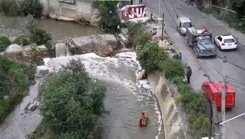 El animal quedó atrapado en