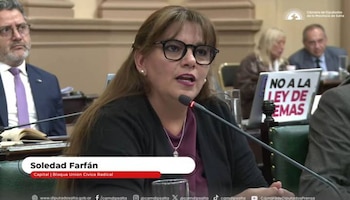 Soledad Farfán de la UCR, criticó la iniciativa durante el dabate en la Cámara de Diputados