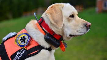 Keb se destacó como una