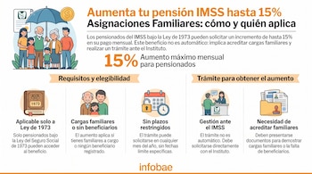 Infografía con título, texto explicativo, cifra del 15%, iconos temáticos sobre pensiones, trámites y familias, y el logo de Infobae.