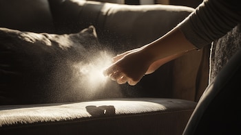 El polvo en hogares mexicanos