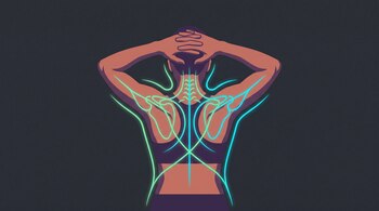 Ilustración de la espalda de una persona con las manos tras la cabeza y líneas brillantes en la columna, omóplatos y hombros.