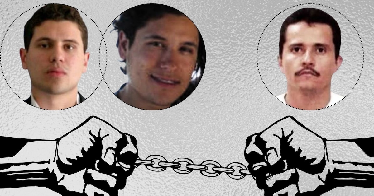 CJNG, Chapitos y Morena, la nueva triada que controlará el narcotráfico en México, asegura José Luis Montenegro - Infobae