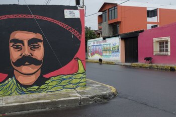 Colonias con más altos índices