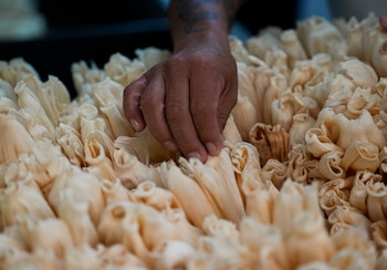 Si se planea hacer tamales