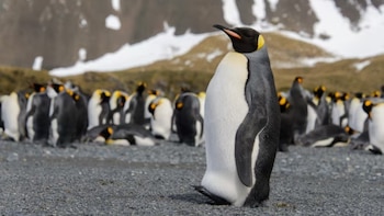 La contaminación por químicos eternos