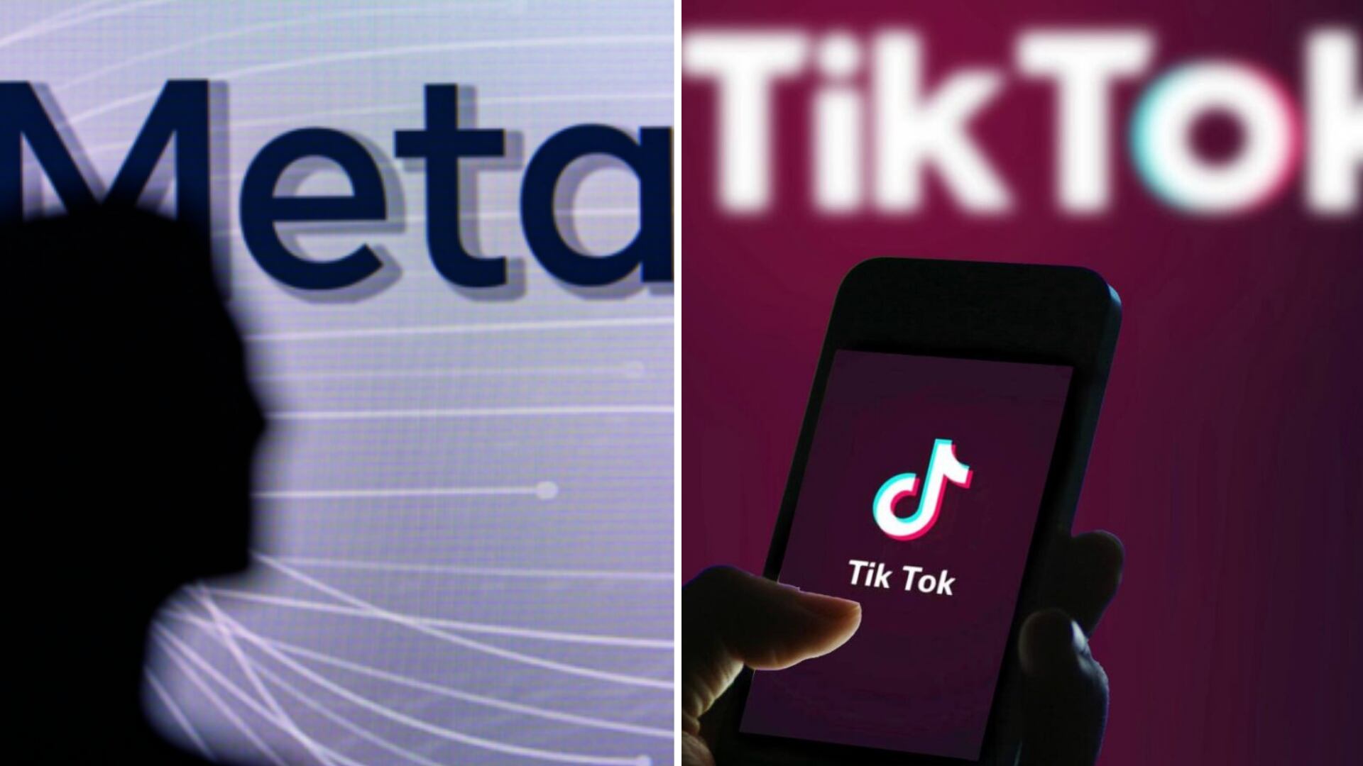 Meta y ByteDance solicitaron la desestimación del caso. (Composición Infobae: telocuentotodo.com / top4smm.com)