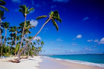 Ubicada en la popular zona