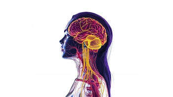 Ejercicios de respiración, tarareos, masajes