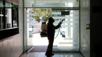 Las enfermedades en los animales pueden ser más peligrosas cuando se contagian a humanos. (EFE/Francisco Guasco).