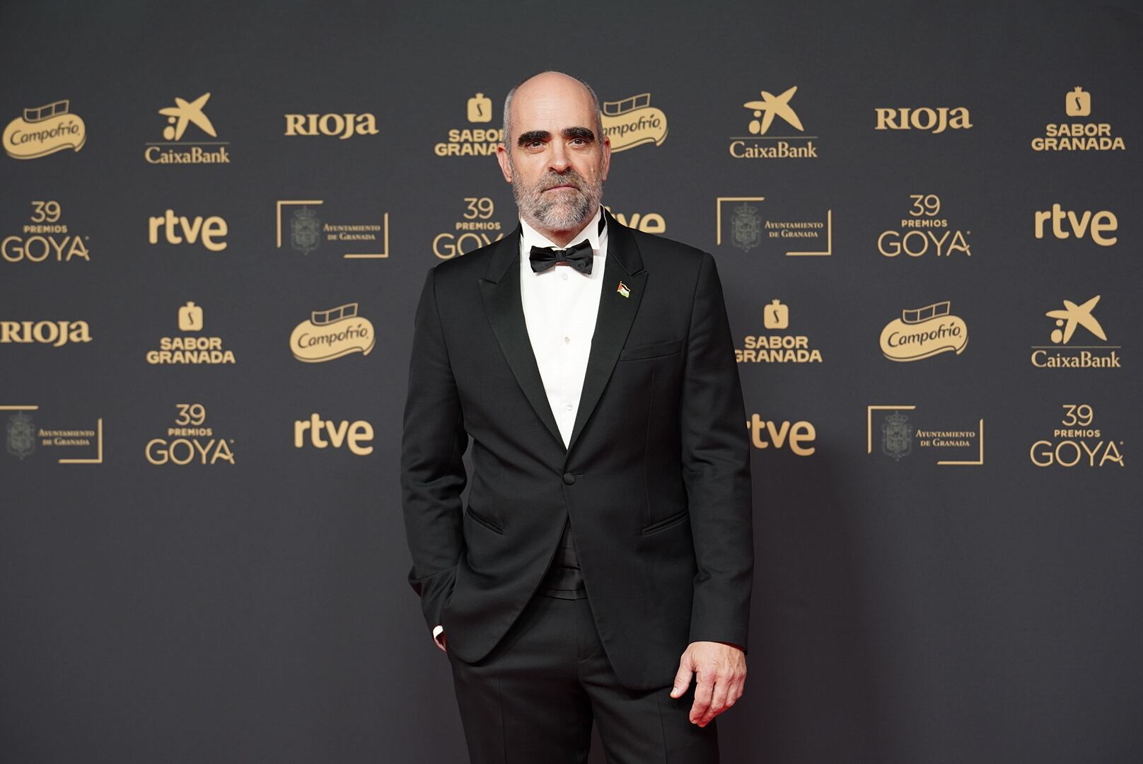 Luis Tosar en los Goya 2025 (Europa Press)