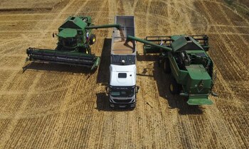 Foto de cosecha de trigo,