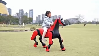 Da saltos y galopa: así