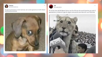 MrBeast y un millonario anunció