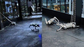 Dinámicas de un perro encadenado,