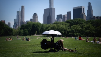 Central Park roza los 38 grados y podría igualar una marca que no se repetía desde 1966