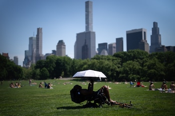 La sensación térmica en Central Park podía llegar a 46,1 °C por la alta humedad, según el Servicio Meteorológico Nacional (AP Foto/Adam Gray, Archivo)