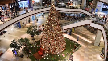 En los primeros días de