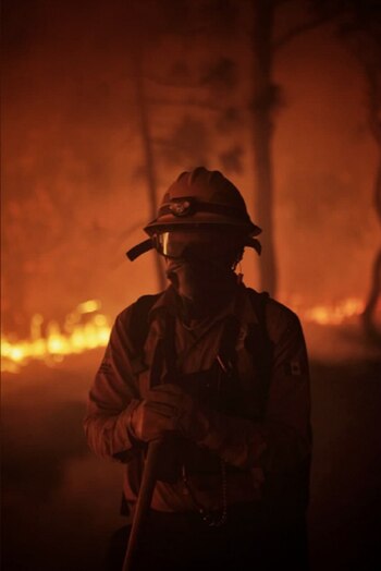 Bosque-La-Primavera-Jalisco-Mexico-incendio-forestal