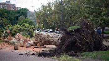 30 fotos de los destrozos