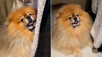 Andy es un argentino que