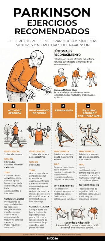 Las guías contemplan cuatro dominios