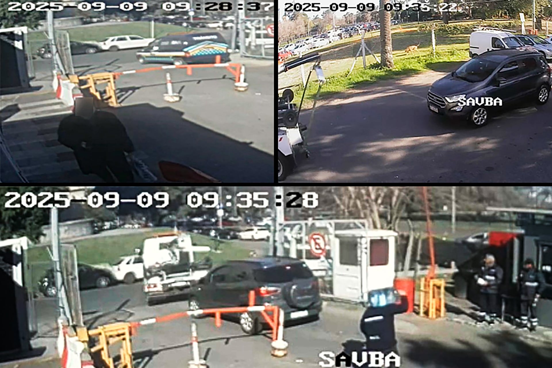 Las cámaras de seguridad (Captura de video)