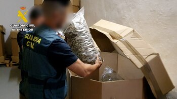 Agentes de la Guardia Civil en una operación contra el tráfico de drogas (Foto: Reuters)