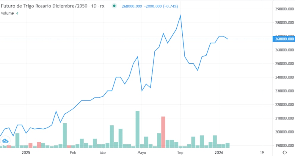 El trigo argentino consolida su liderazgo en Brasil y condiciona la próxima siembra del vecino país