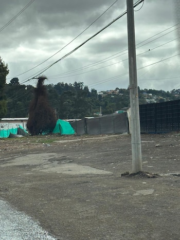 La comunidad de Suba y el concejal Rubén Darío Torrado denunciaron invasiones y afectaciones ambientales en la Reserva Forestal Thomas van der Hammen, en predios de Pluserati S.A.S. en La Conejera - crédito Pluserati S.A.S./Concejal Rubén Darío Torrado