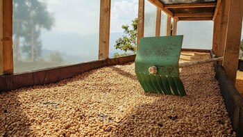 Gastronomía colombiana y conflicto armado: “Era casi imposible pensar en producir café de calidad”